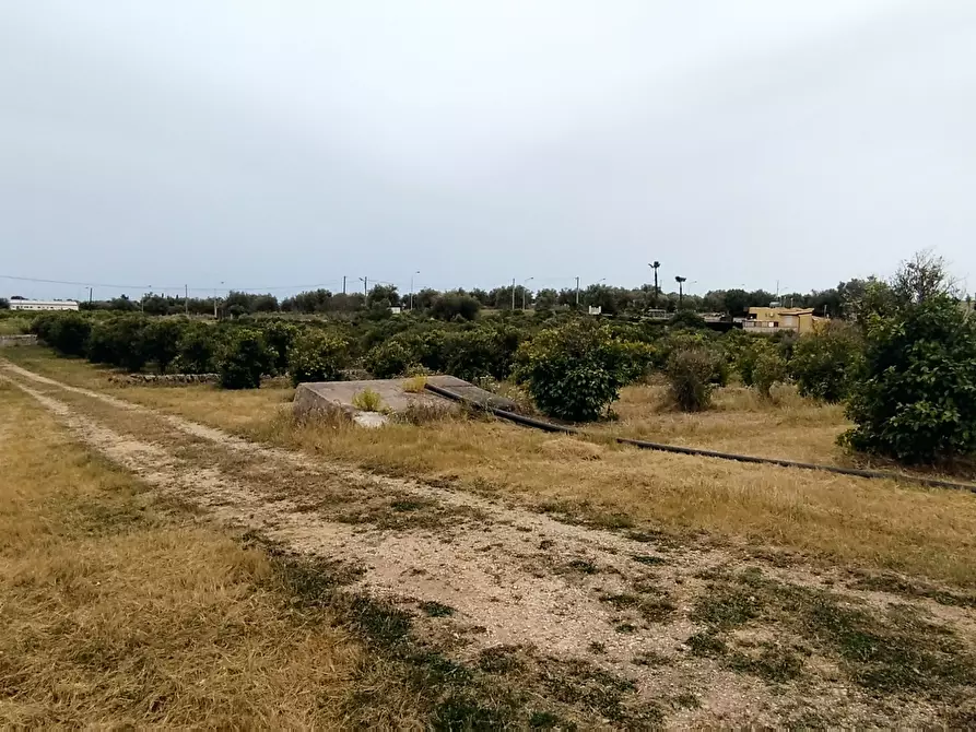 Immagine 3 di Terreno agricolo in vendita  in CONTRADA FALCONARA a Noto
