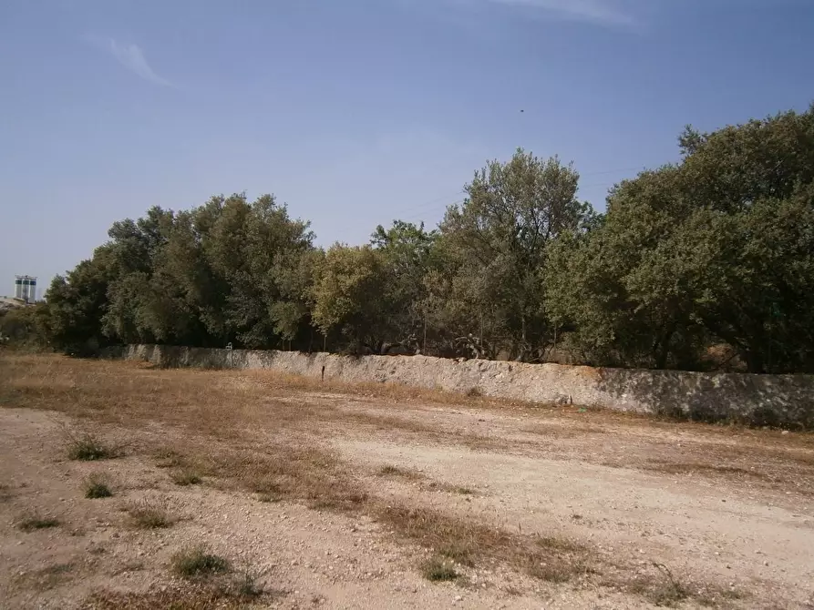 Immagine 2 di Terreno agricolo in affitto  a Priolo Gargallo