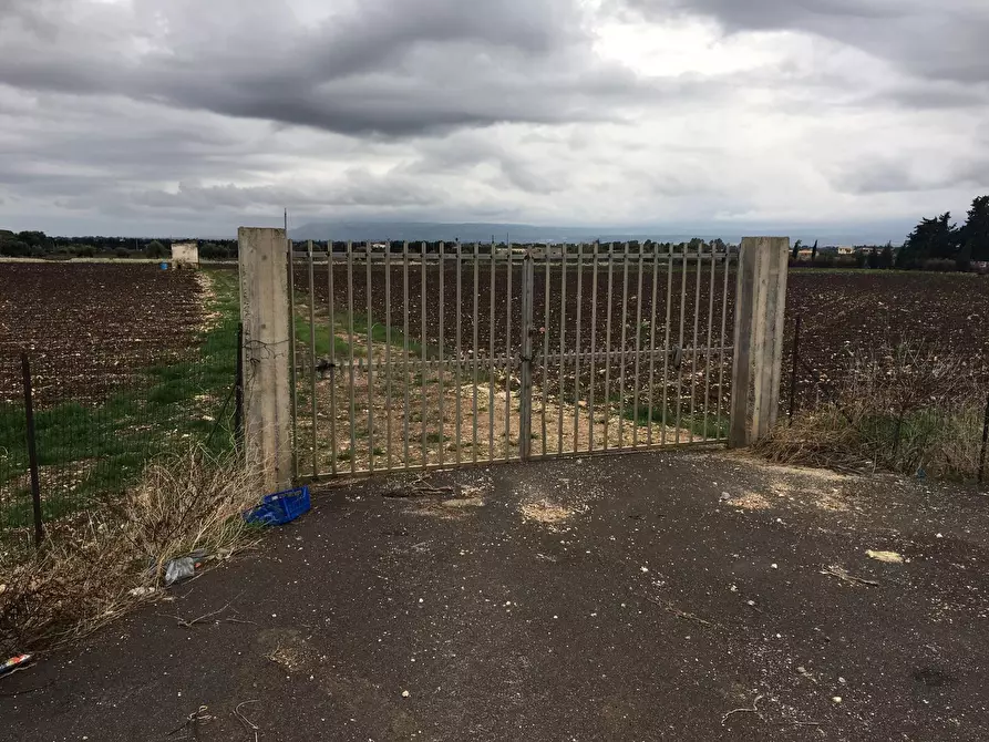 Immagine 4 di Terreno agricolo in vendita  a Siracusa