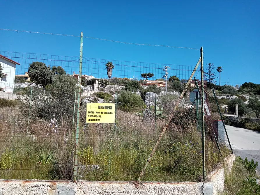 Immagine 3 di Terreno agricolo in vendita  a Siracusa