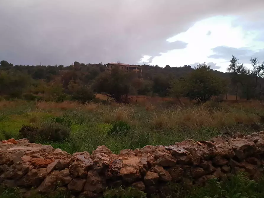 Immagine 7 di Terreno agricolo in vendita  a Siracusa