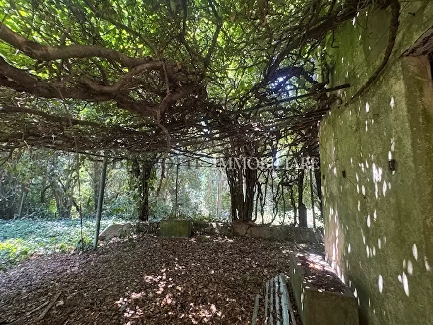 Immagine 15 di Rustico / casale in vendita  a Livorno