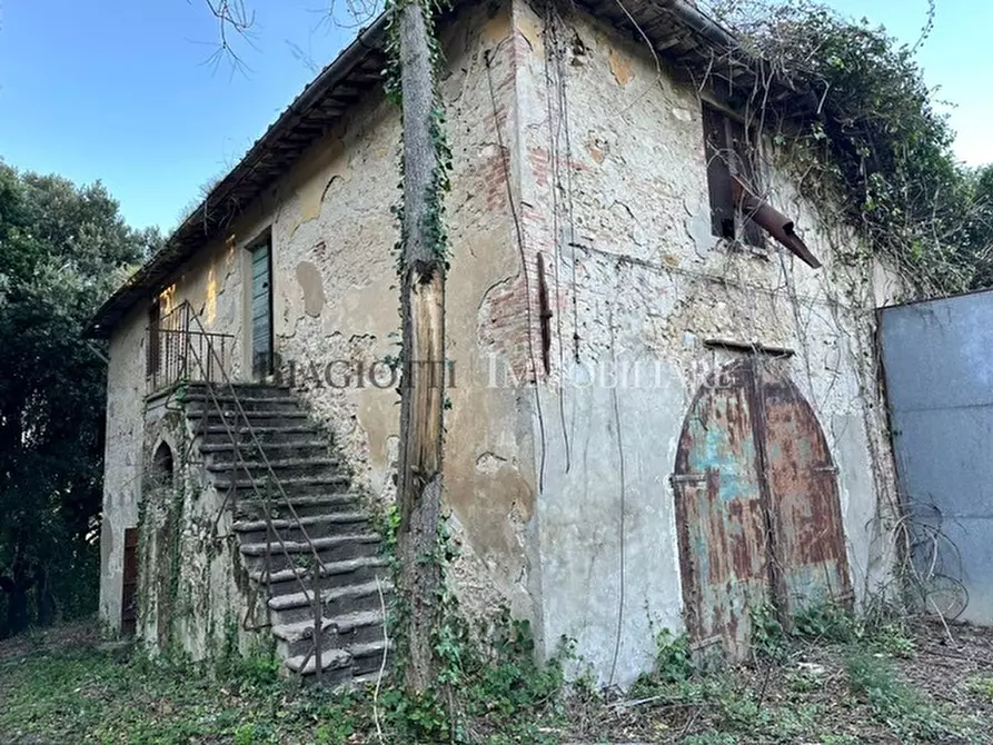 Immagine 36 di Rustico / casale in vendita  a Livorno