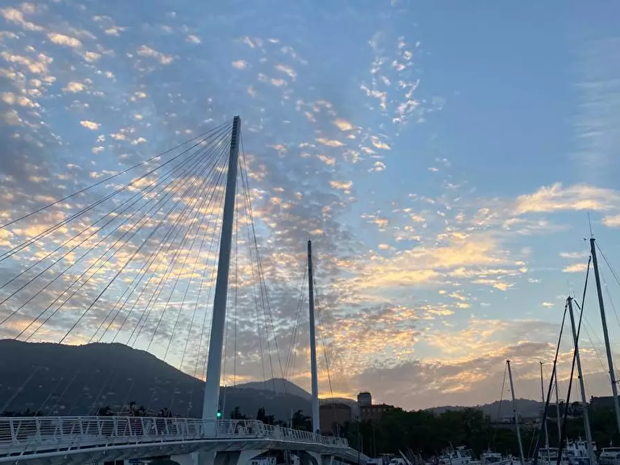 Immagine 7 di Appartamento in vendita  a Arcola