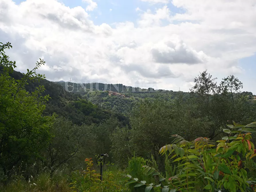 Immagine 16 di Rustico / casale in vendita  in Via Carignano a Fosdinovo
