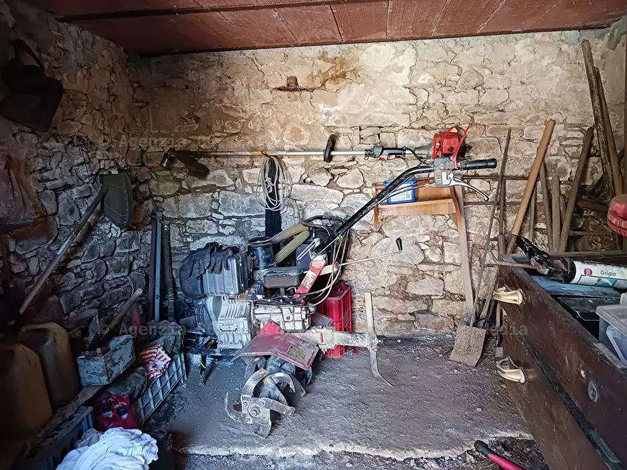 Immagine 3 di Rustico / casale in vendita  a Arcola