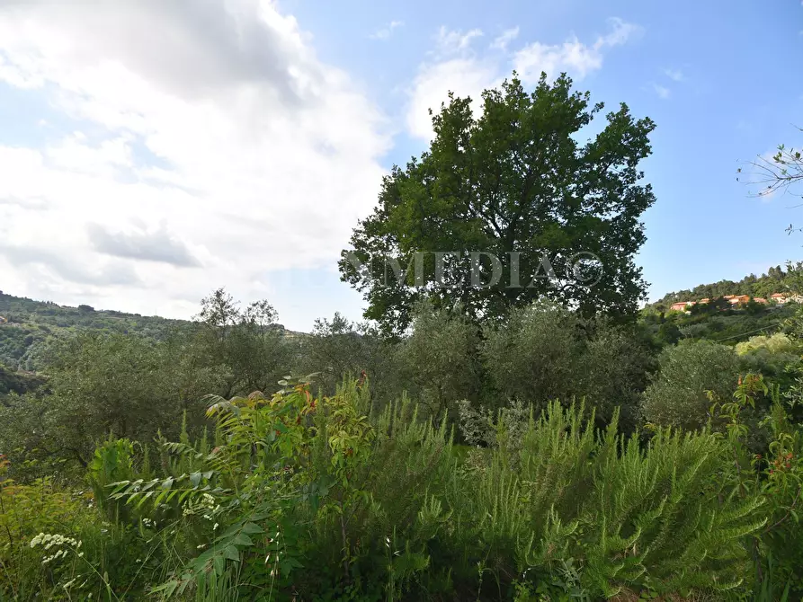 Immagine 17 di Rustico / casale in vendita  in Via Carignano a Fosdinovo