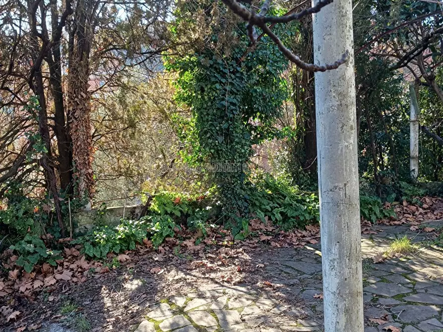 Immagine 3 di Casa indipendente in vendita  a Arcola