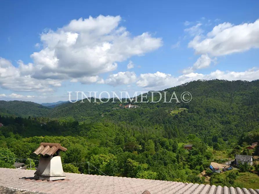 Immagine 29 di Terratetto in vendita  in via guglielmo marconi a Carro