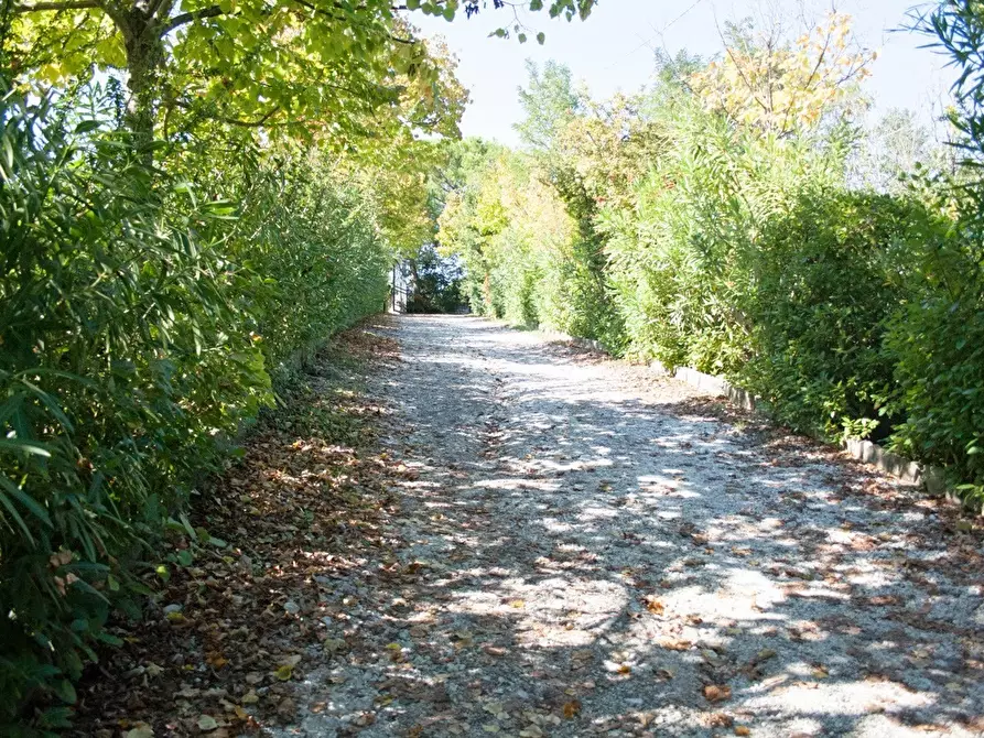 Immagine 3 di Rustico / casale in vendita  a Rimini