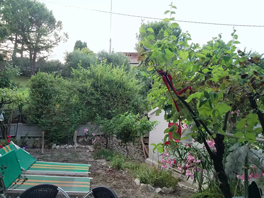 Immagine 19 di Casa indipendente in vendita  in Via Vignola Palata 25 a Sogliano Al Rubicone