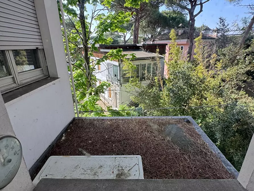 Immagine 31 di Pentalocale in vendita  in Viale Romagna 25 a Cervia
