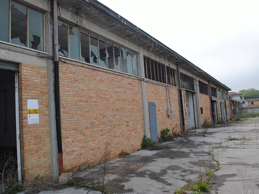 Immagine 8 di Attività artigianale in vendita  in Via Jesi a Pesaro
