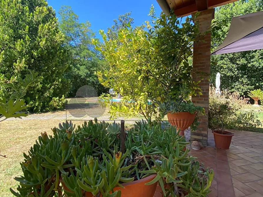 Immagine 27 di Villa in vendita  a Castelnuovo Magra