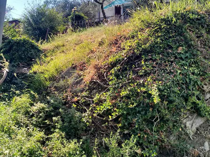 Immagine 22 di Porzione di casa in vendita  in via Figliola snc a Ortonovo