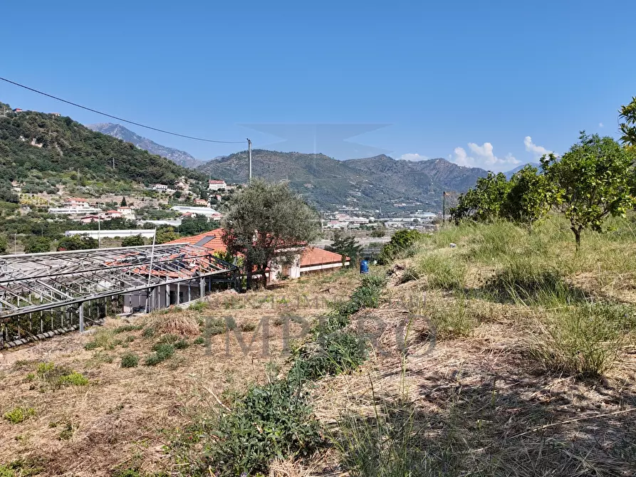 Immagine 13 di Terreno agricolo in vendita  in Corso Limone Piemonte a Ventimiglia
