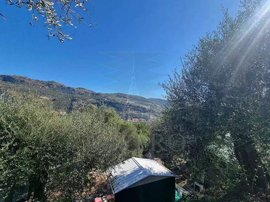 Immagine 49 di Terreno agricolo in vendita  in Via Monsignore Daffra 40 a Ventimiglia