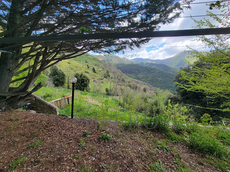 Immagine 52 di Casa indipendente in vendita  in Strada Provinciale 65 65 a Castel Vittorio