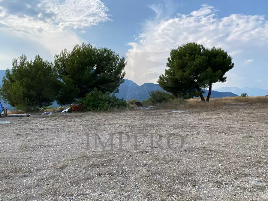 Immagine 6 di Terreno agricolo in vendita  in Via alla Stazione 40 a Ventimiglia