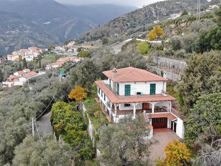 Immagine 16 di Villa in vendita  in Via Nappio a Ventimiglia
