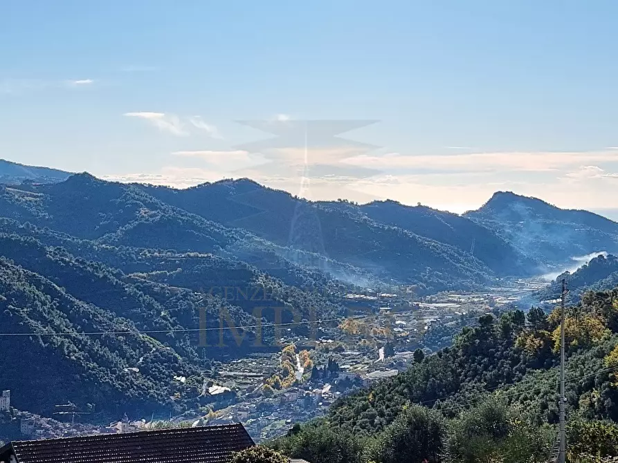 Immagine 1 di Villa in vendita  in Strada Provinciale a Dolceacqua