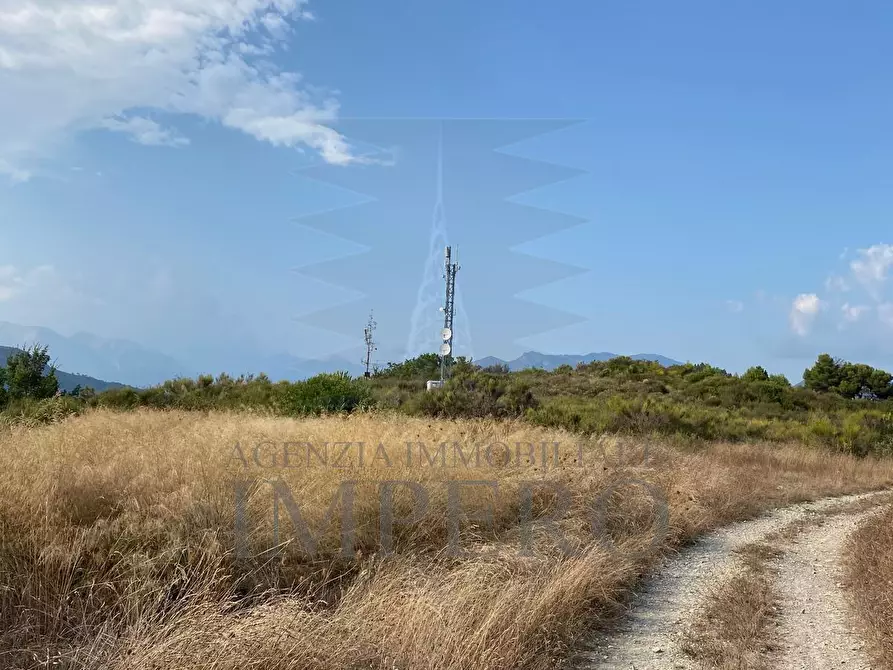 Immagine 13 di Terreno agricolo in vendita  in Via alla Stazione 40 a Ventimiglia