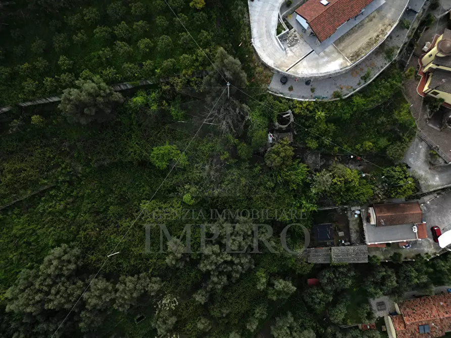 Immagine 6 di Terreno agricolo in vendita  in Strada San Sinforiano a San Biagio Della Cima