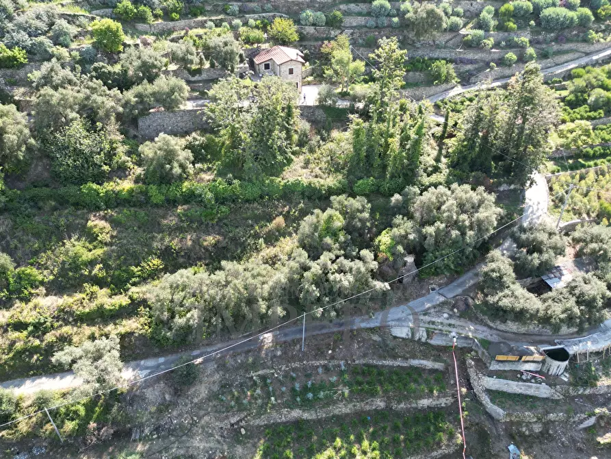 Immagine 1 di Terreno agricolo in vendita  in Via Silvio Pellico 10 a Bordighera