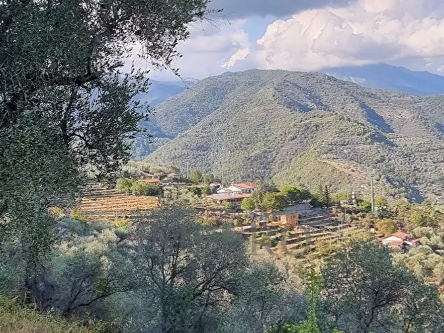 Immagine 20 di Villa in vendita  in Strada Provinciale a Dolceacqua