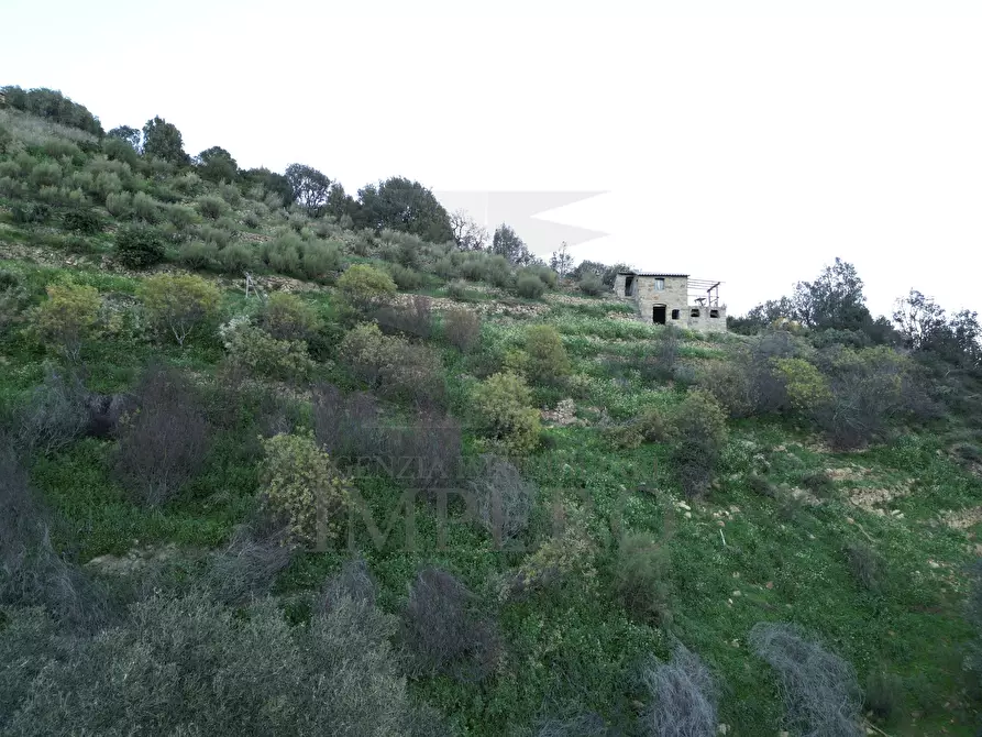 Immagine 3 di Terreno agricolo in vendita  in Via delle Otto Case 94 a Ventimiglia