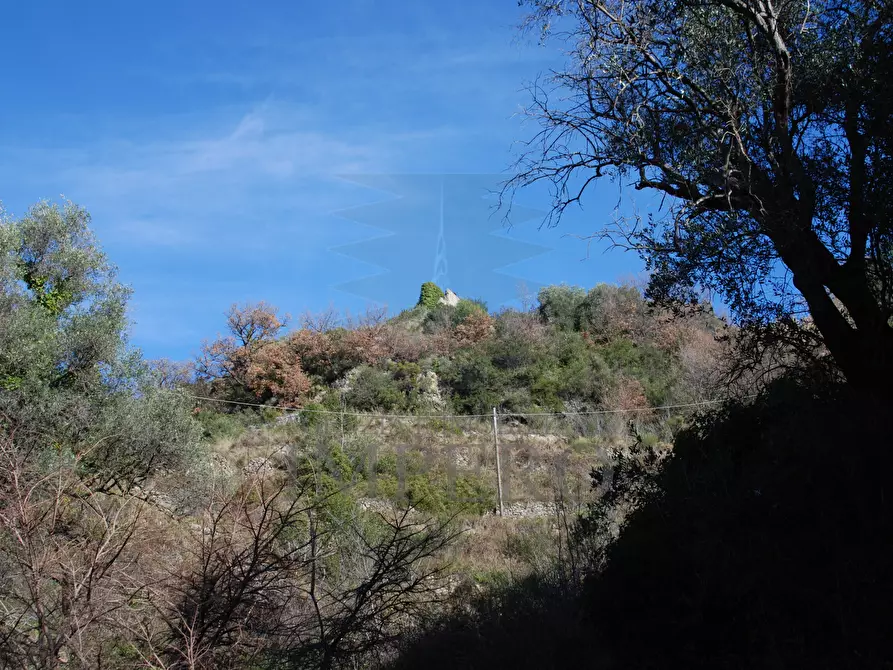 Immagine 19 di Terreno agricolo in vendita  in Via Case Gina 13 a Ventimiglia