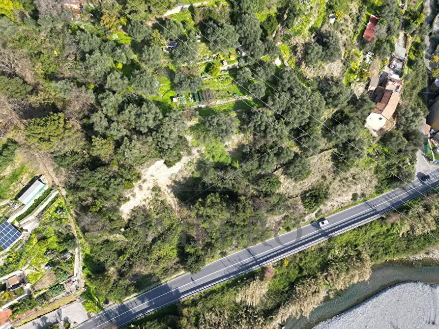 Immagine 5 di Terreno agricolo in vendita  in Corso Limone Piemonte snc a Ventimiglia