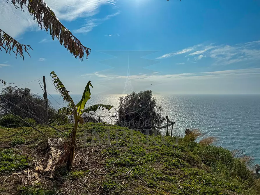 Immagine 20 di Villa in vendita  in Strada della Cava 18 a Bordighera