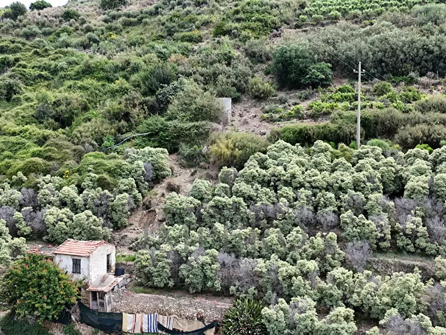 Immagine 36 di Terreno agricolo in vendita  in Via Anacleto Hughes 22/A a Ventimiglia