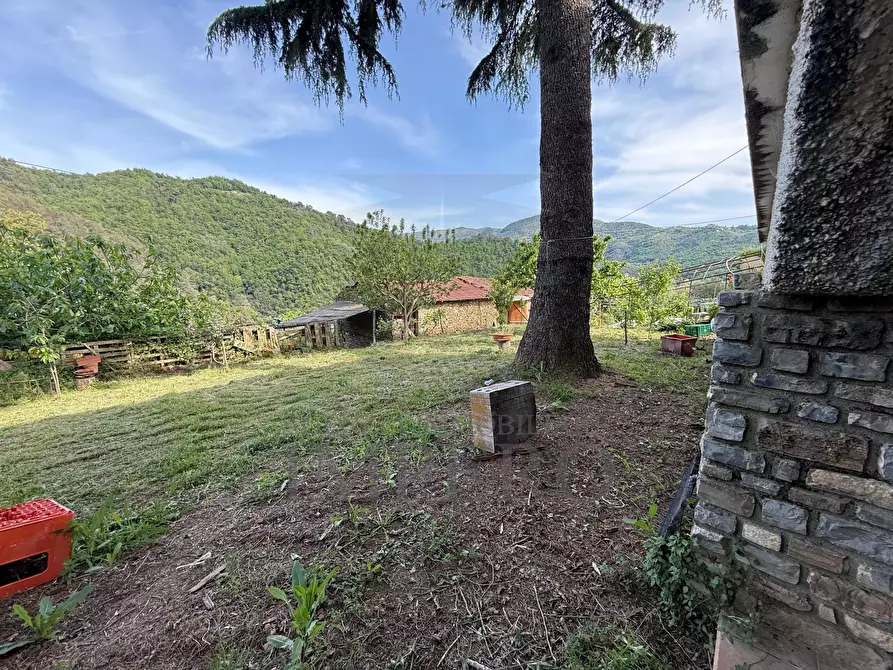 Immagine 29 di Casa indipendente in vendita  in localitò pian del soglio a Apricale