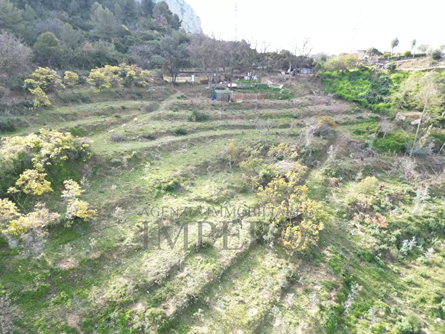 Immagine 5 di Terreno agricolo in vendita  in Regione Magauda 36 a Camporosso