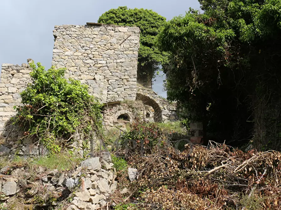 Immagine 18 di Terreno agricolo in vendita  in Via Case Gina 13 a Ventimiglia