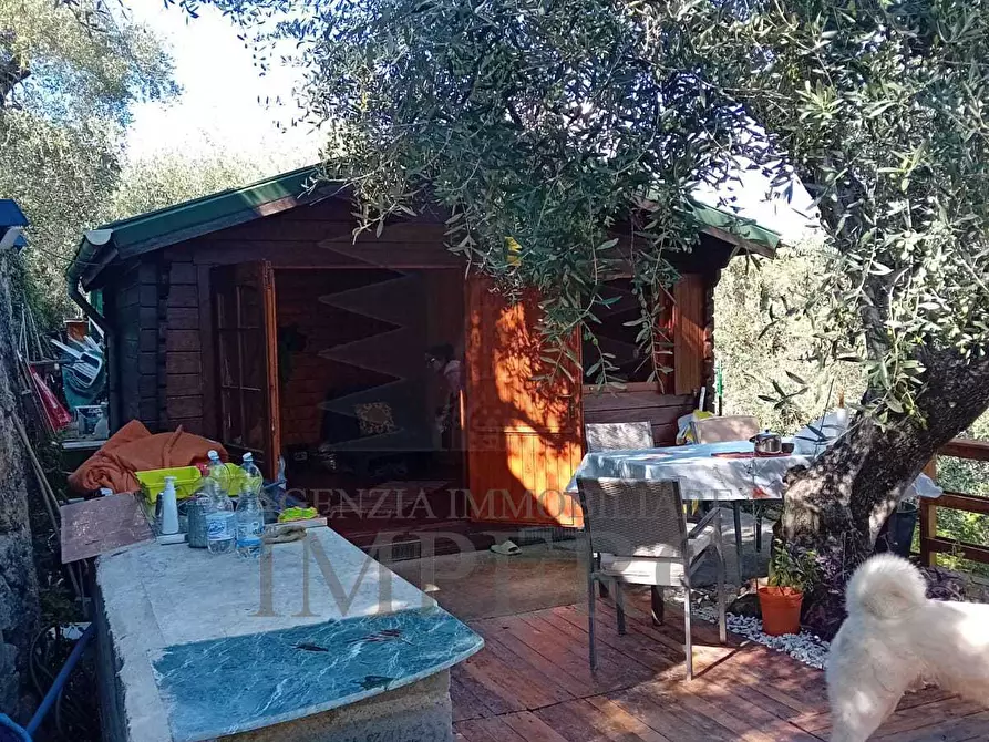 Immagine 7 di Terreno agricolo in vendita  in Via Monsignore Daffra 40 a Ventimiglia