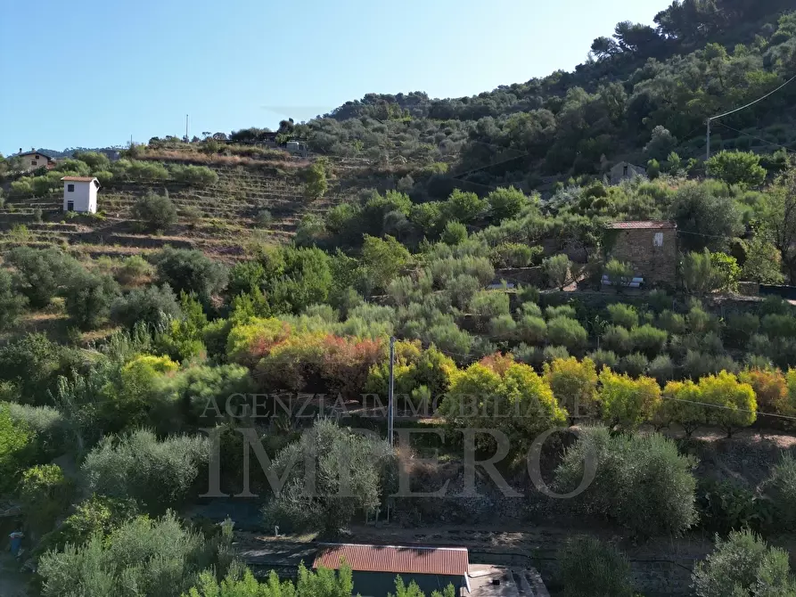 Immagine 13 di Terreno agricolo in vendita  in via provinciale 44 a San Biagio Della Cima