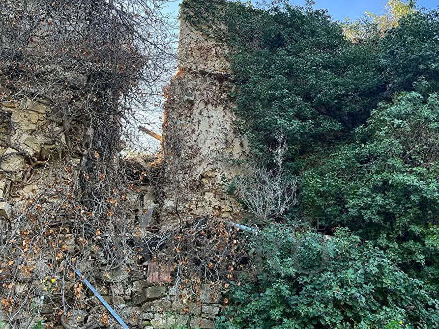 Immagine 22 di Villa in vendita  in via silvio peglio snc a Bordighera