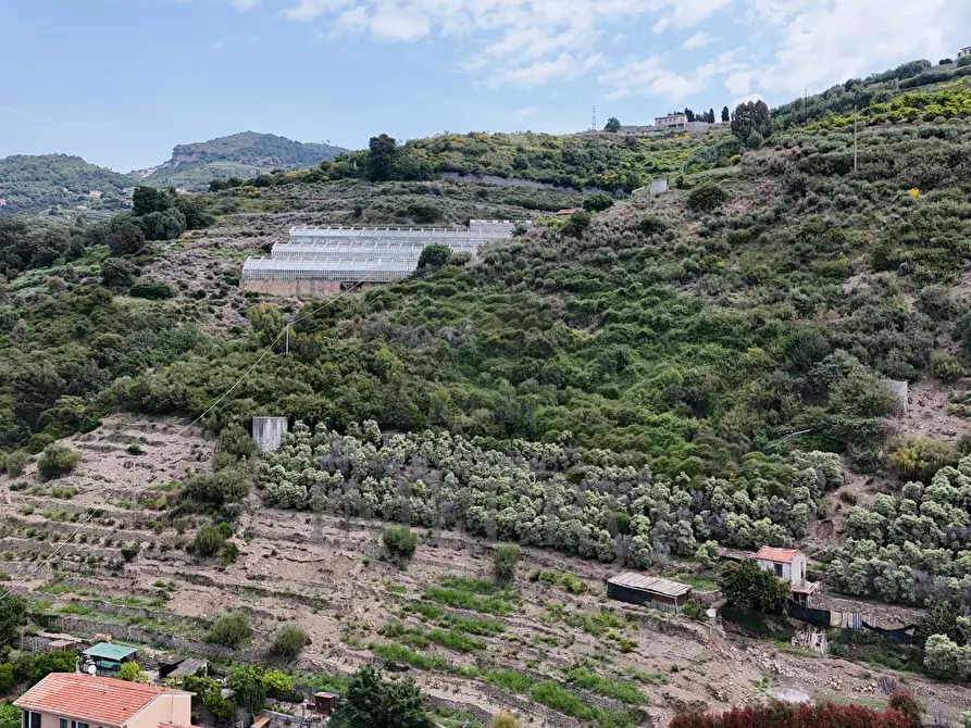 Immagine 24 di Terreno agricolo in vendita  in Via Anacleto Hughes 22/A a Ventimiglia