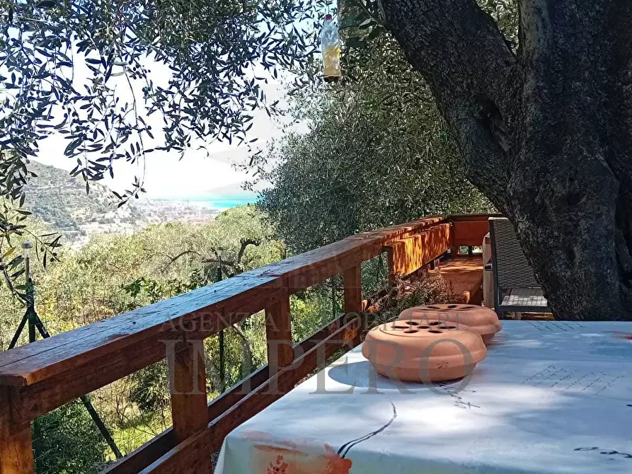 Immagine 5 di Terreno agricolo in vendita  in Via Monsignore Daffra 40 a Ventimiglia