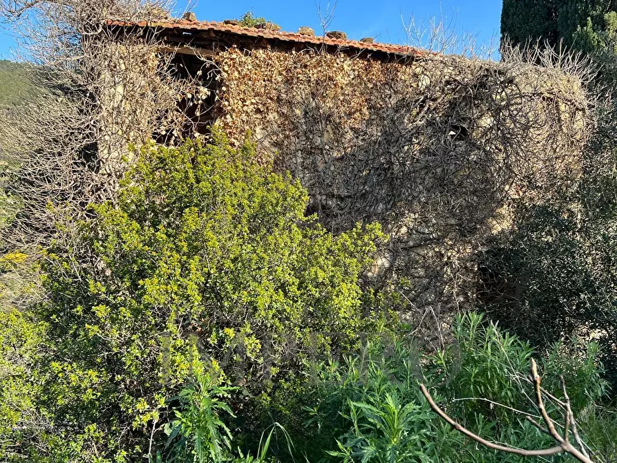 Immagine 30 di Villa in vendita  in via silvio peglio snc a Bordighera