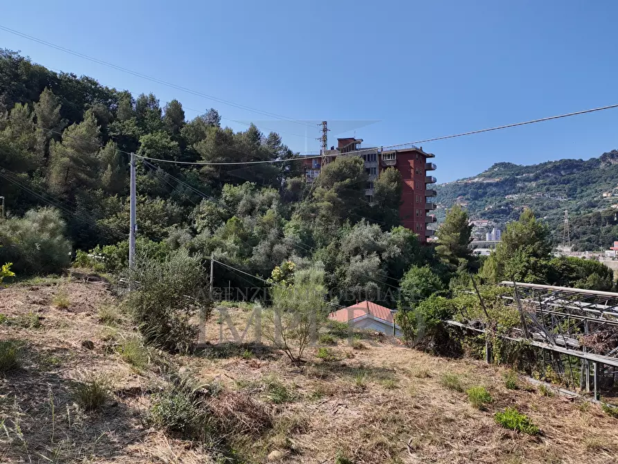Immagine 8 di Terreno agricolo in vendita  in Corso Limone Piemonte a Ventimiglia