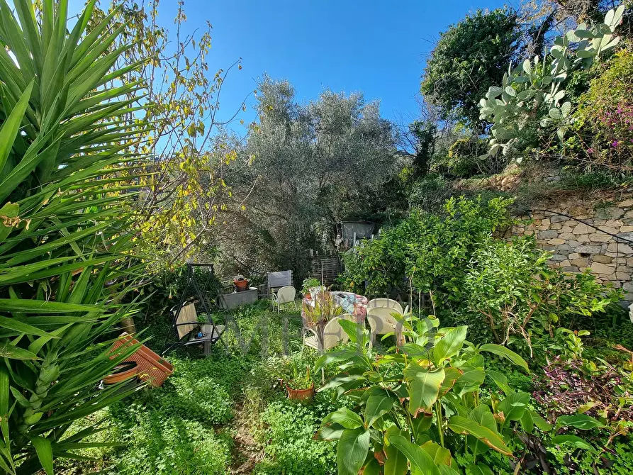 Immagine 40 di Villa in vendita  in Via Fontana 1 a Ventimiglia