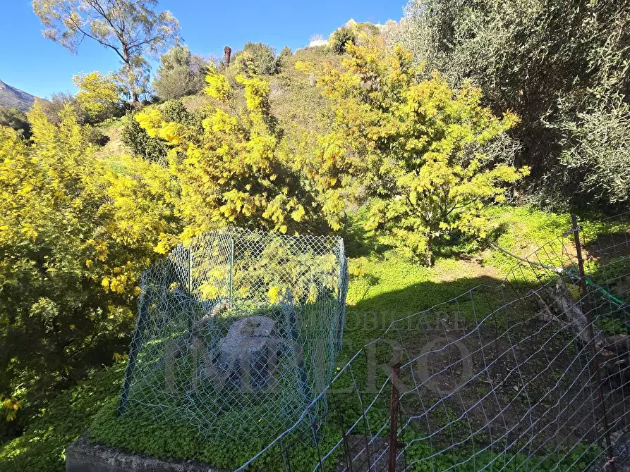 Immagine 23 di Villa in vendita  in frazione carletti snc a Ventimiglia