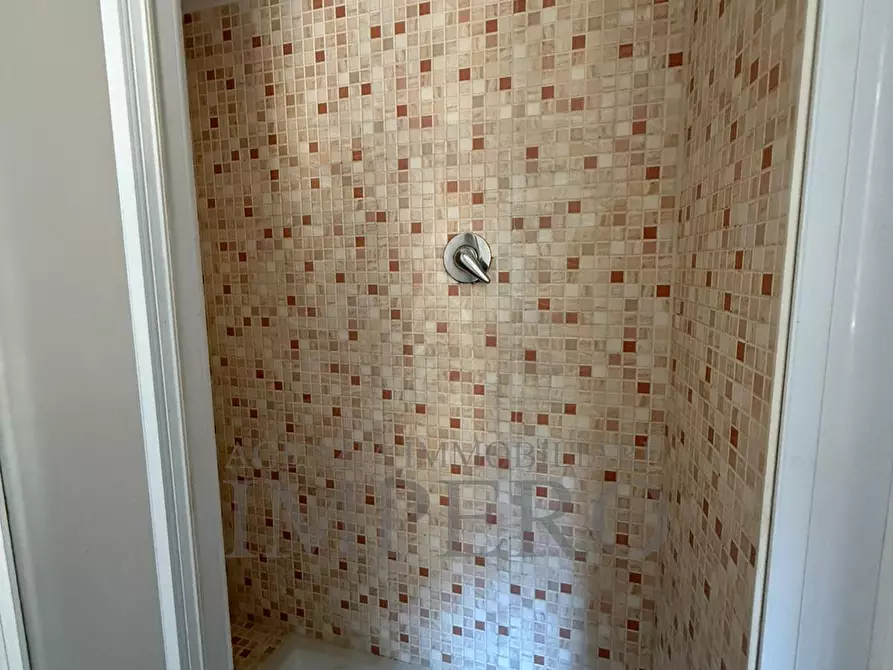 Immagine 20 di Quadrilocale in vendita  in Via Case Palanchi 4 a Ventimiglia