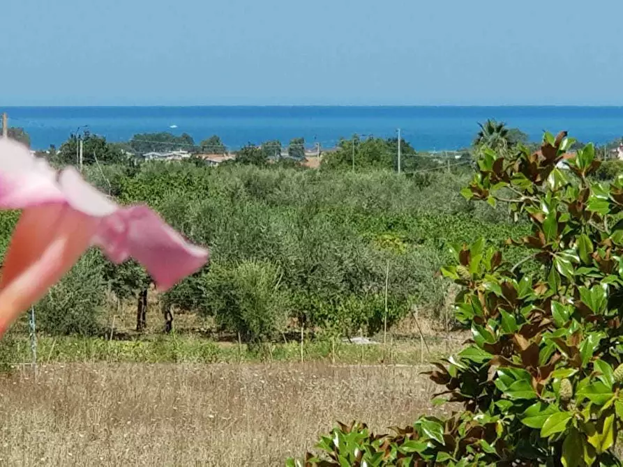 Immagine 23 di Bilocale in affitto  a Miglianico