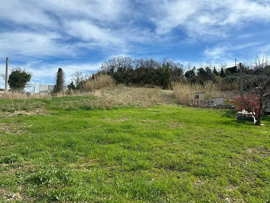 Immagine 2 di Terreno agricolo in vendita  a Ortona