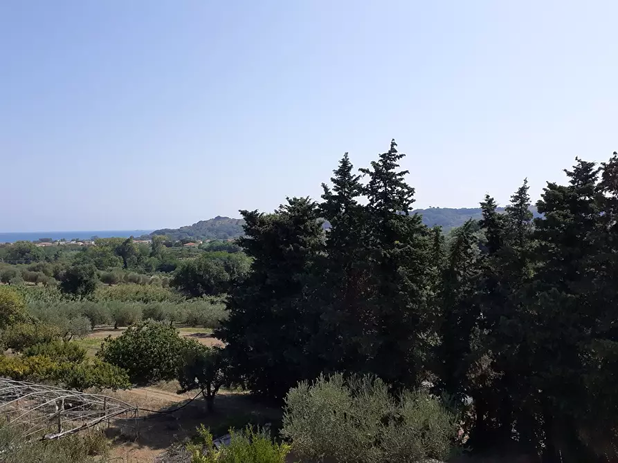 Immagine 8 di Casa indipendente in vendita  a Francavilla Al Mare